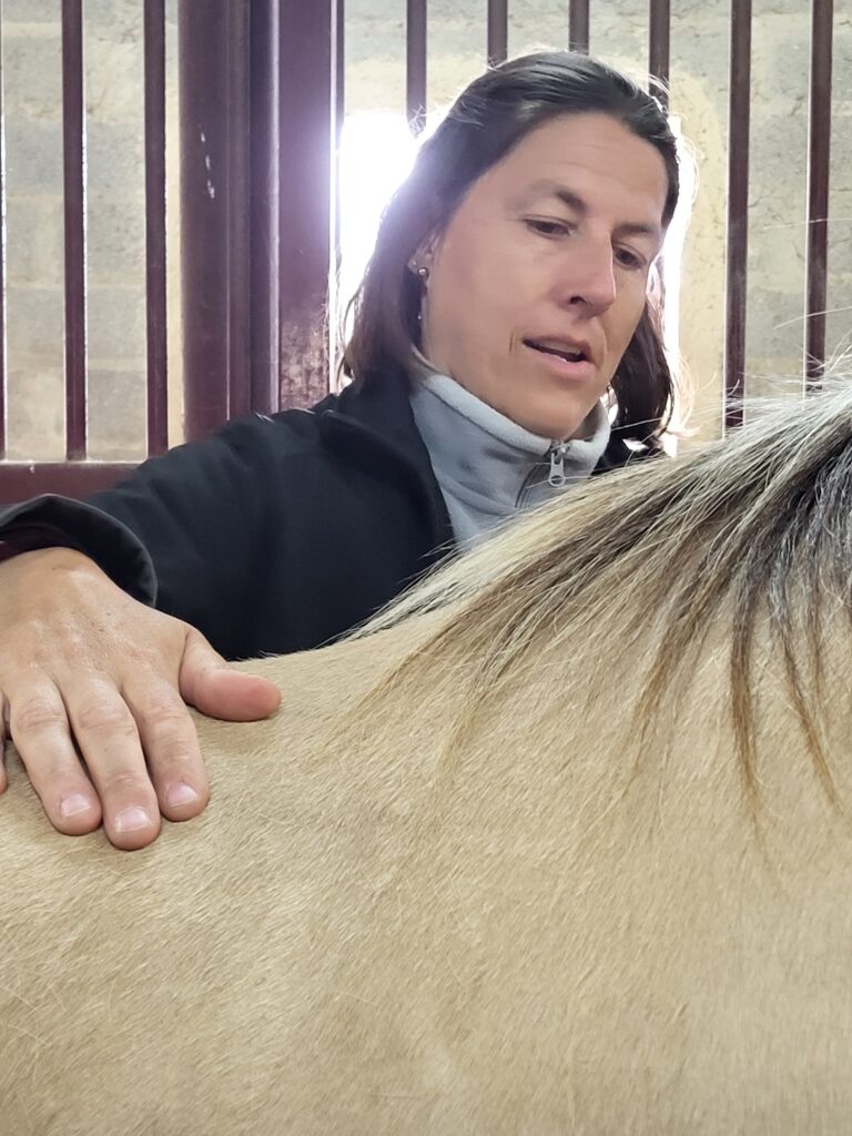 Isabelle avec un cheval lors d'une séance de shiatsu