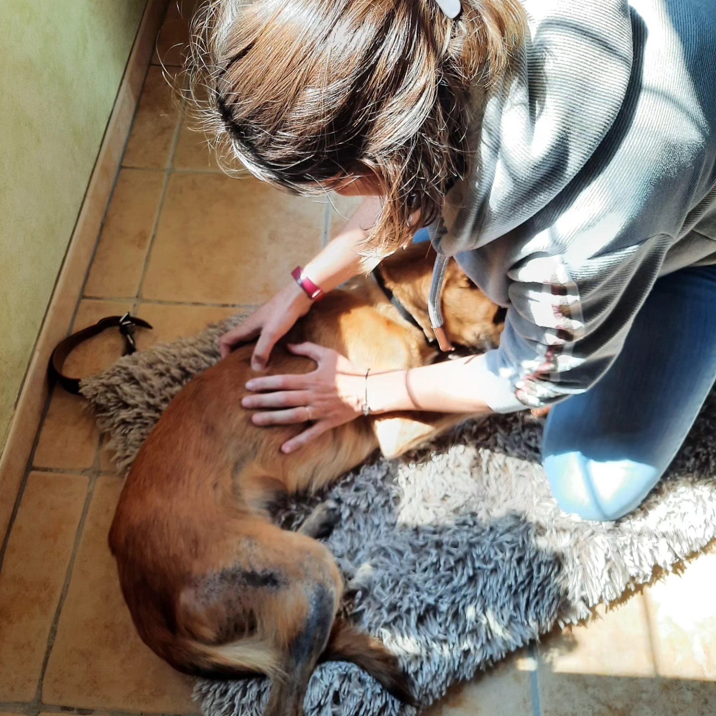 Isabelle lors d'une séance de shiatsu sur un chien.