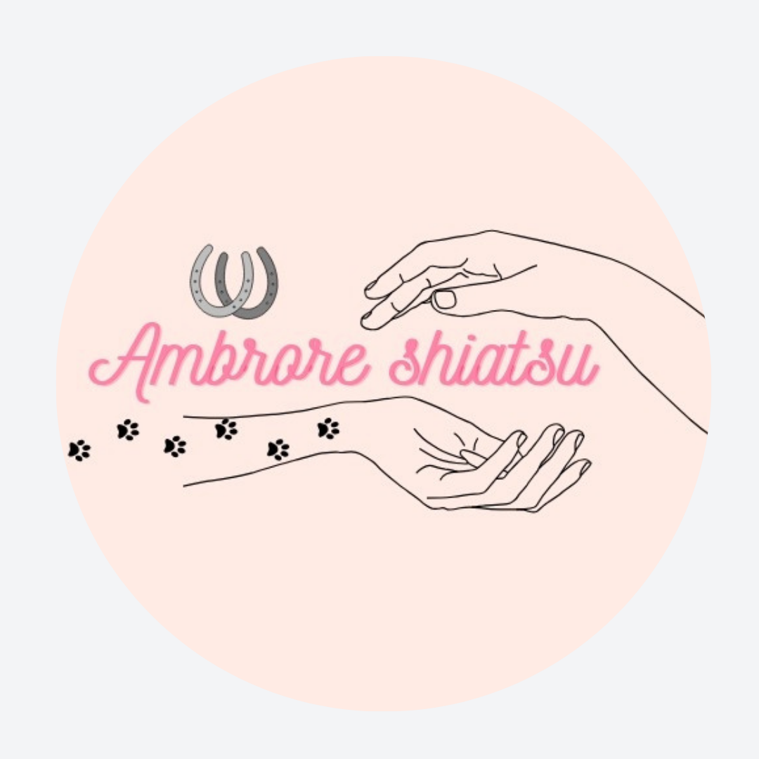 Logo d'Ambrore shiatsu, praticienne shiatsu chiens chevaux et humains